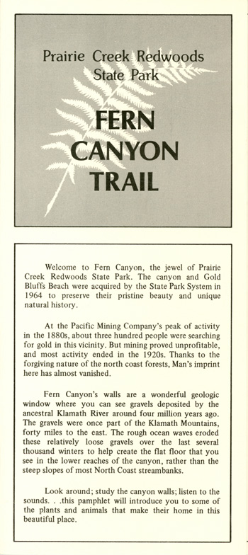 brochure cover