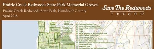 brochure cover