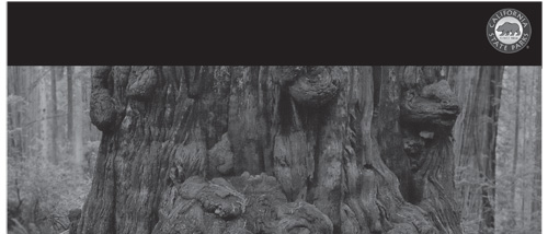brochure cover