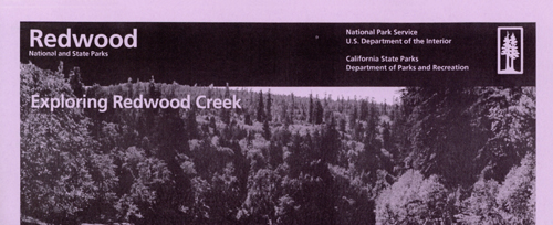 brochure cover