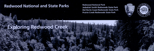 brochure cover