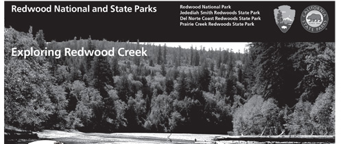 brochure cover