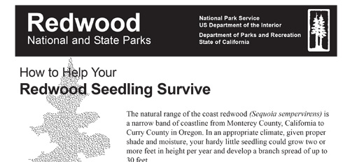 brochure cover