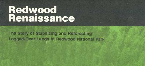 brochure cover