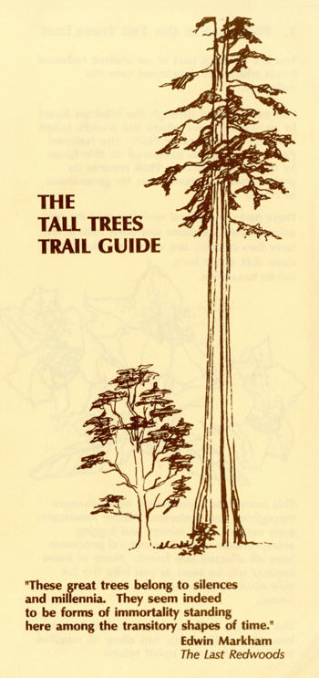 brochure cover