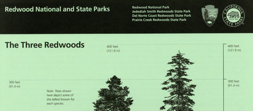 brochure cover