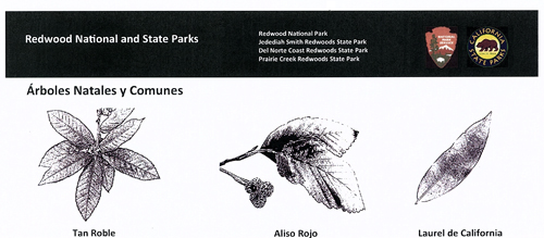 brochure cover
