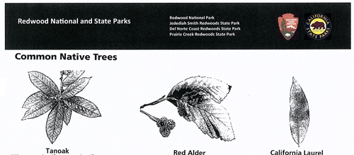 brochure cover