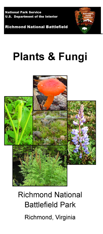 brochure cover