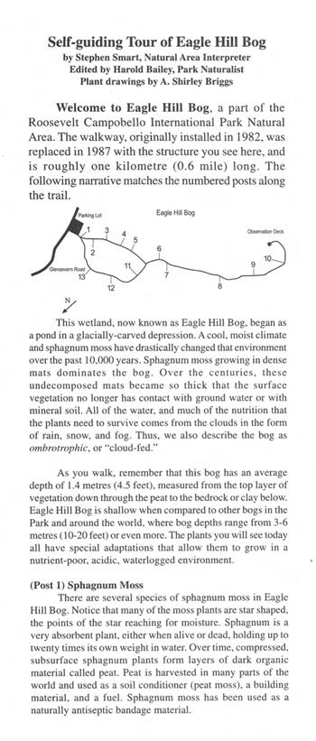 brochure cover