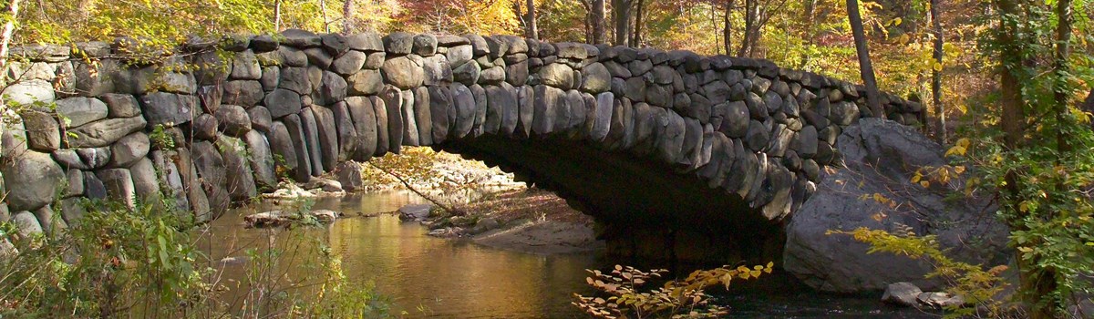 Park Photo