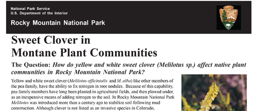 brochure cover