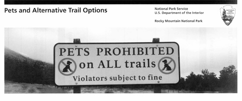 brochure cover