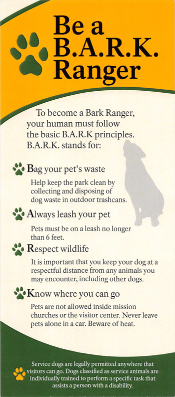 brochure cover