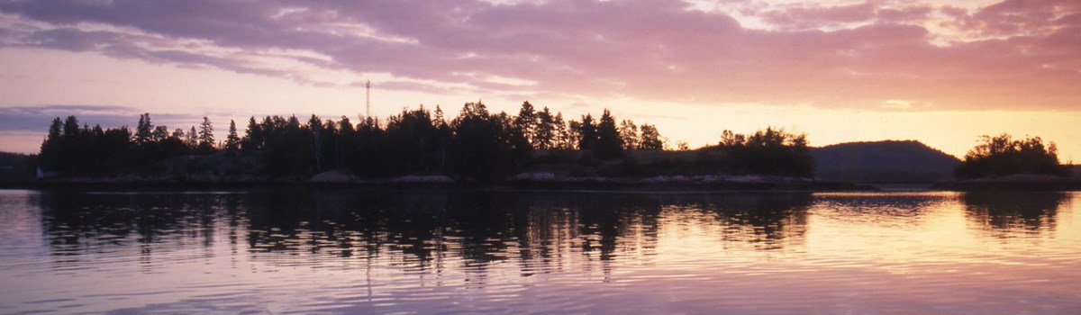 Park Photo