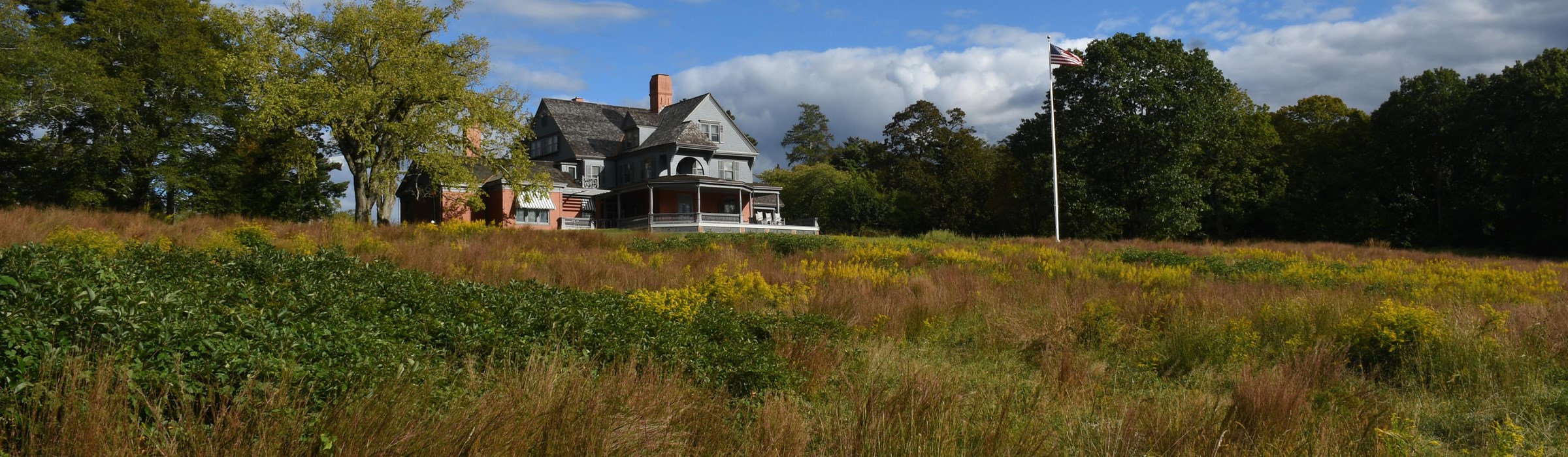 Park Photo