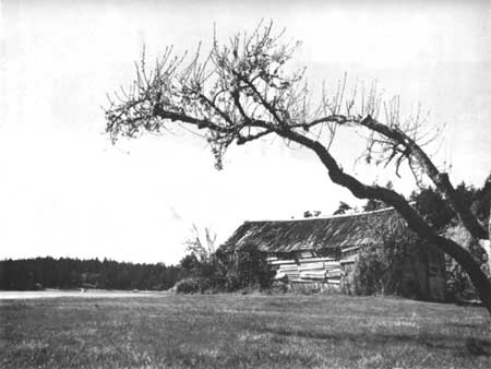 Commissary prior to restoration, 1970