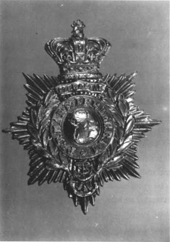 Royal Marine medallion