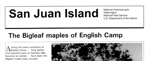 brochure cover