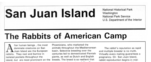 brochure cover