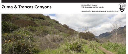 brochure cover