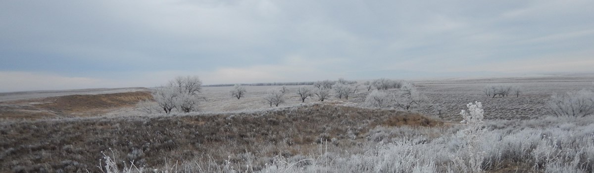 Park Photo