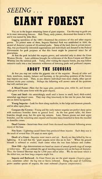 brochure cover