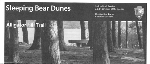 brochure cover