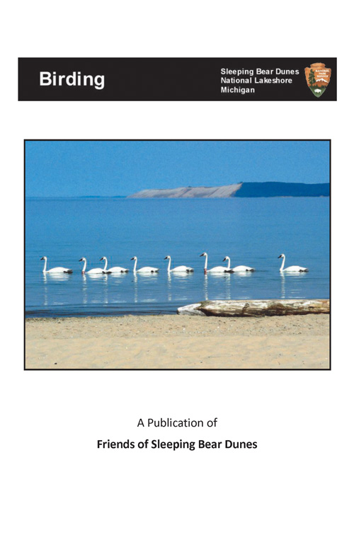 brochure cover