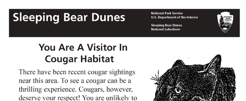 brochure cover