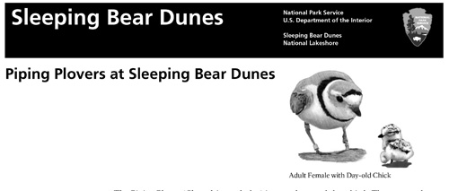 brochure cover