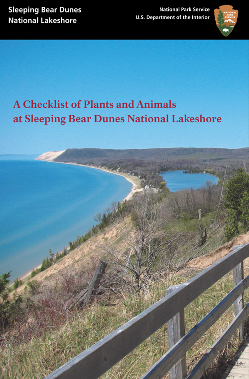 brochure cover