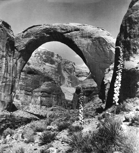 Rainbow Bridge NM