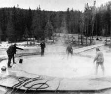Yellowstone NP