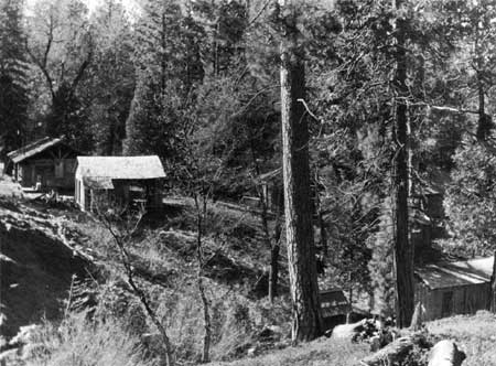 Yosemite NP