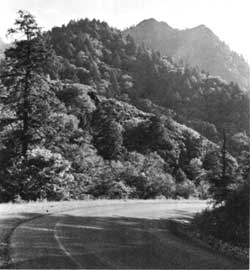 Great Smoky Mountains NP