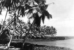 Pu`uhonua o Honaunau NHP