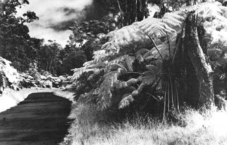 Hawaii NP