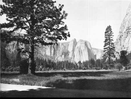 Yosemite NP