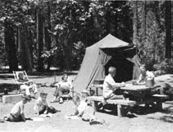 Yosemite NP
