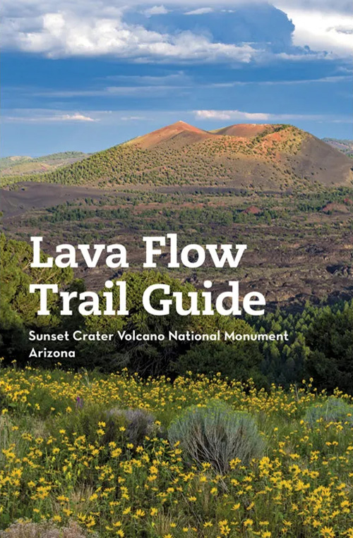 brochure cover