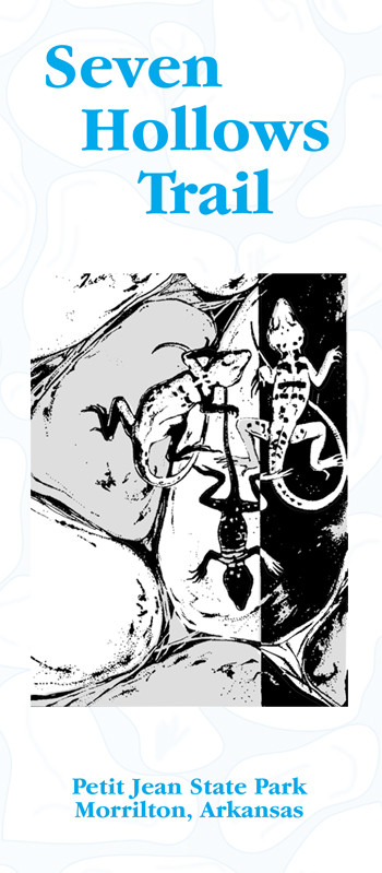 brochure cover