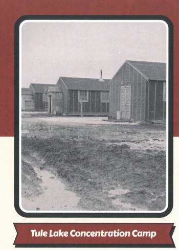 card cover