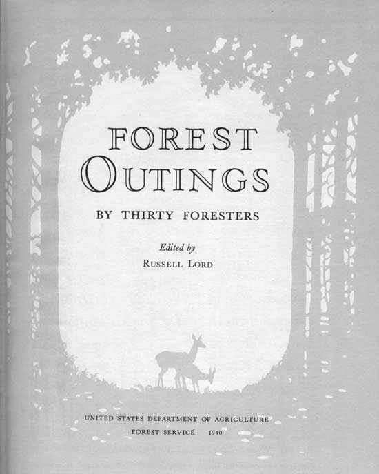 sketch of deer in forest