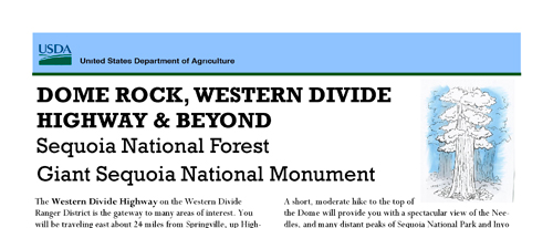 brochure cover