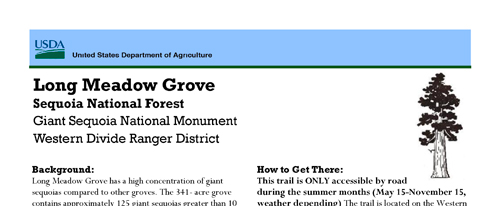 brochure cover
