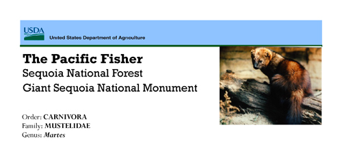 brochure cover