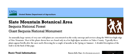 brochure cover