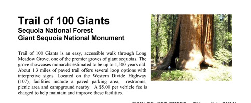 brochure cover