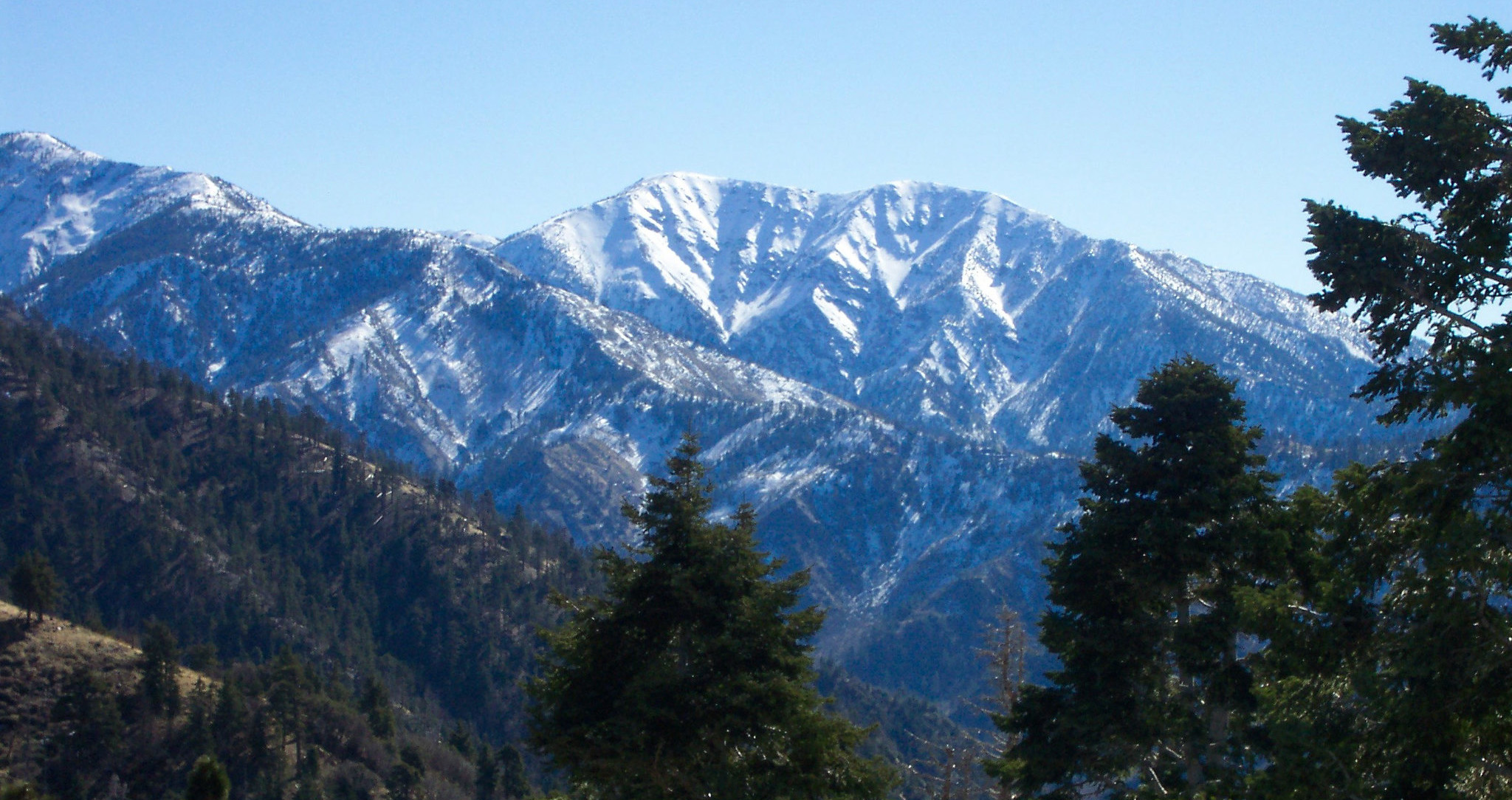 Park Photo